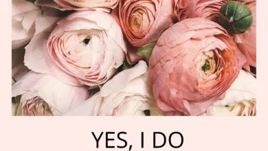 Photo of Yes, I Do