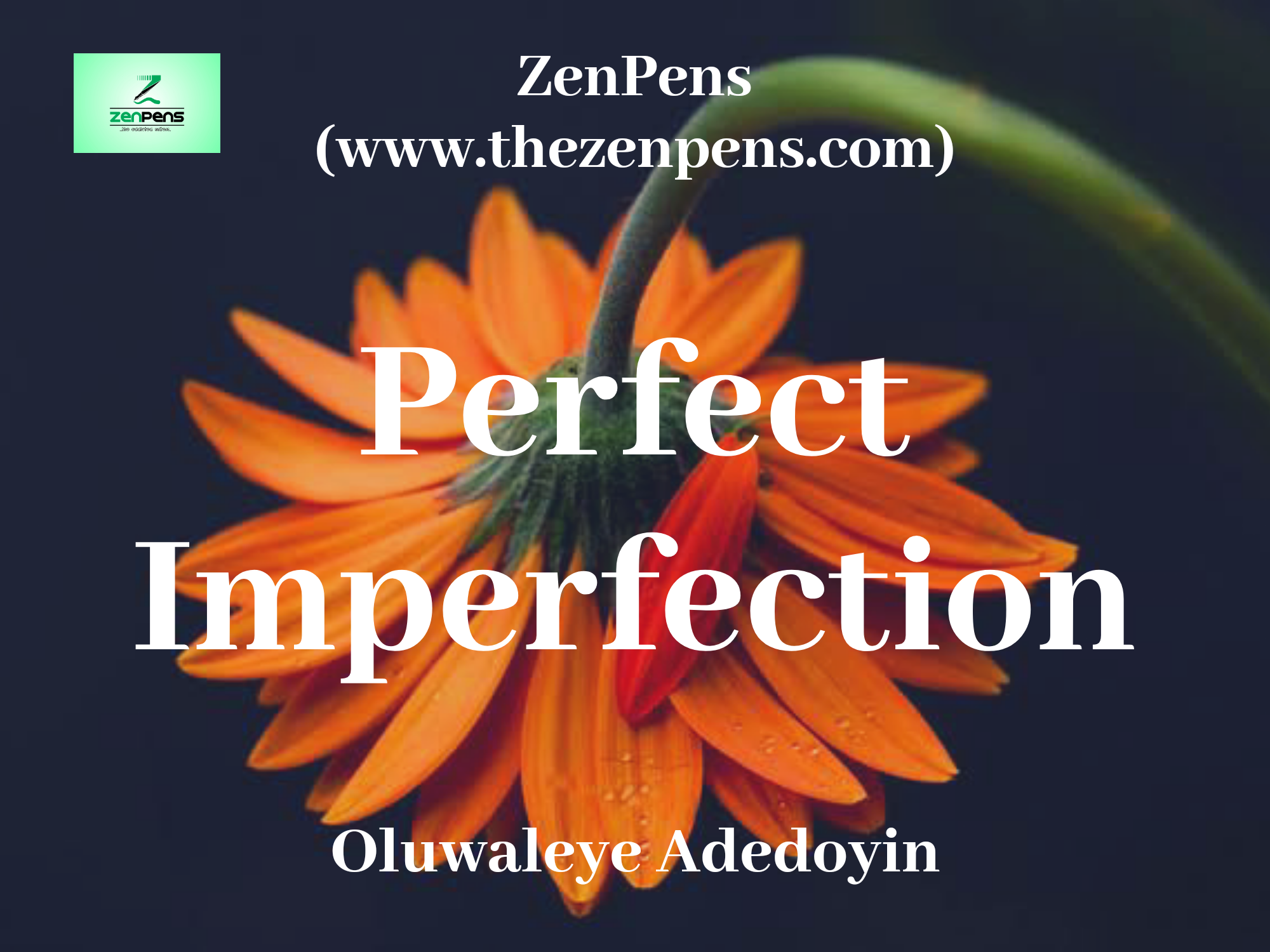 Photo of “Perfect Imperfection” — A Poem by Oluwaleye Adedoyin